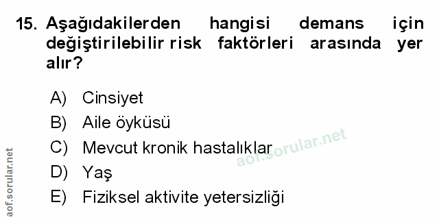 Soru 15