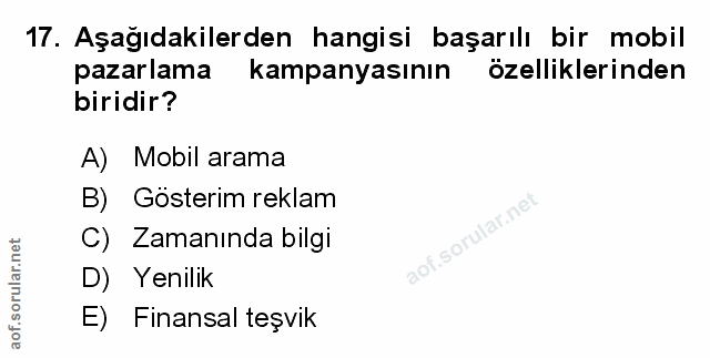 Soru 17
