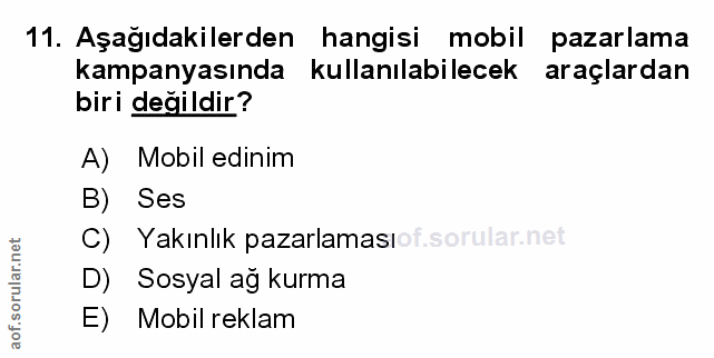 Soru 11
