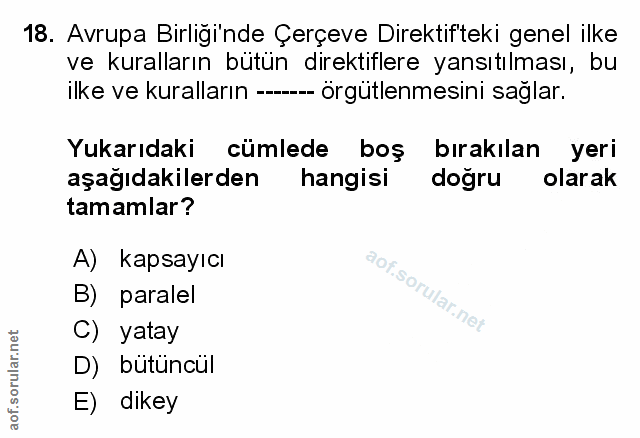 Soru 18