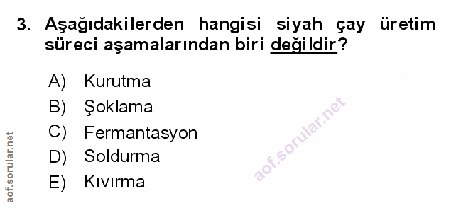 Soru 3