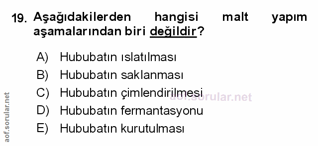 Soru 19