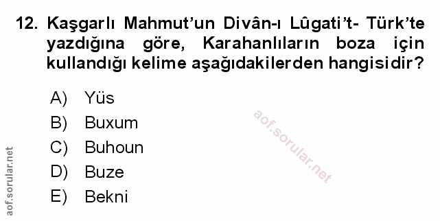 Soru 12