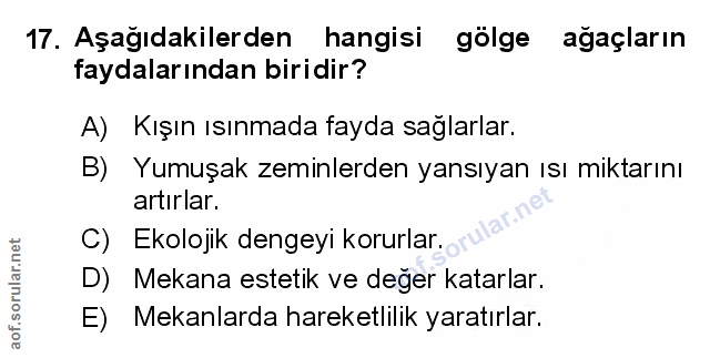 Soru 17