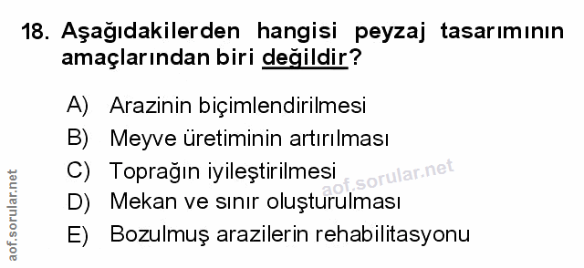 Soru 18