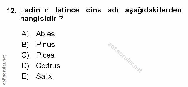 Soru 12