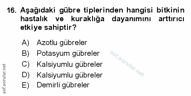 Soru 16