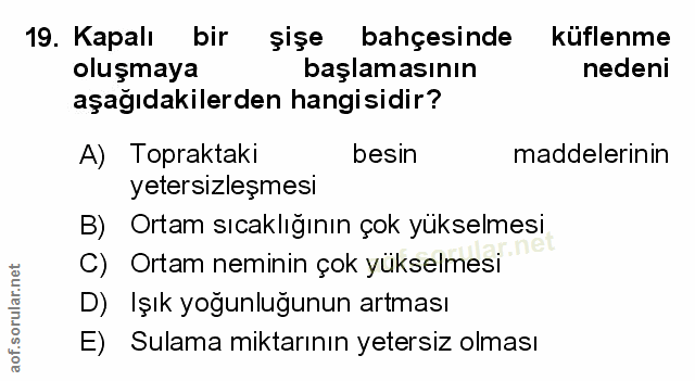 Soru 19