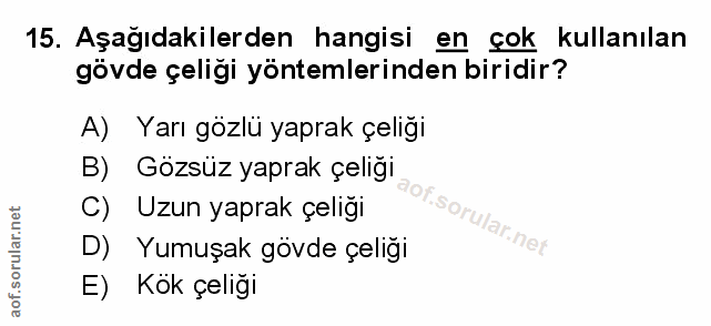 Soru 15