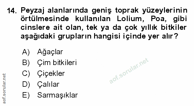 Soru 14