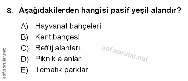 Soru 8