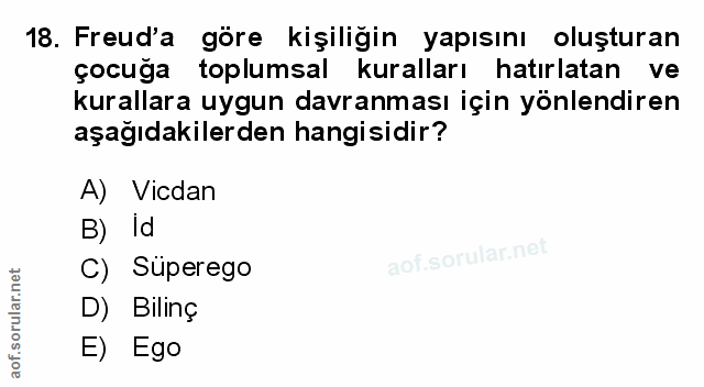 Soru 18