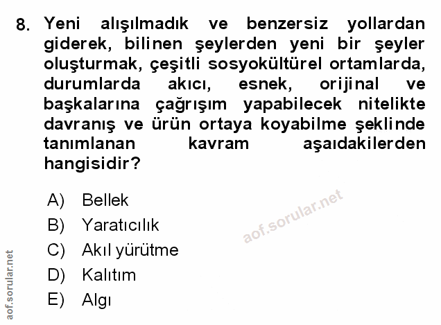 Soru 8