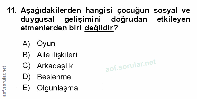 Soru 11