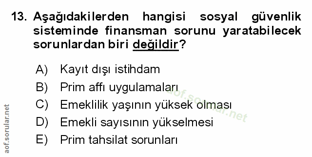 Soru 13