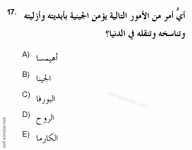 Soru 17