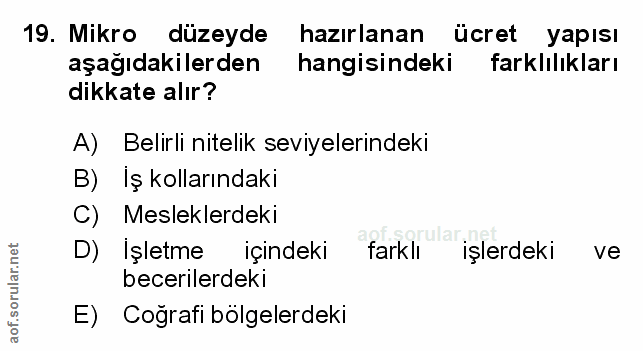Soru 19