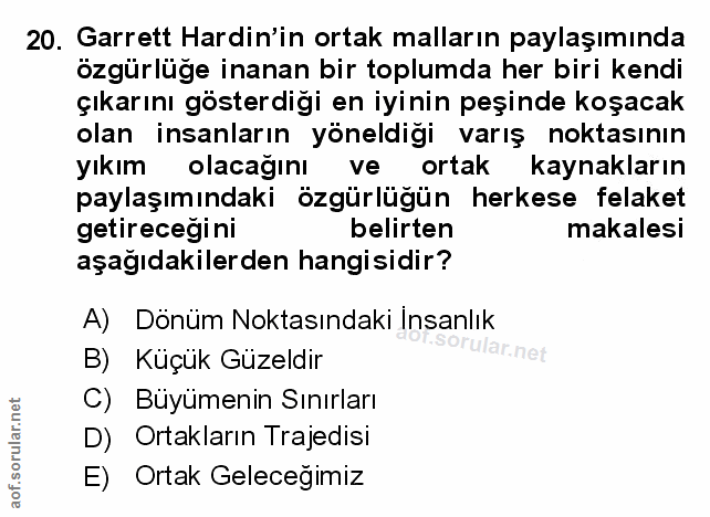 Soru 20
