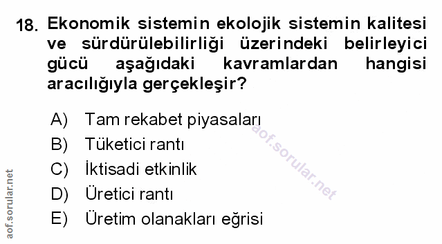 Soru 18
