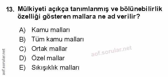 Soru 13