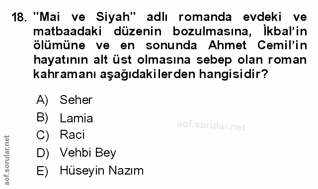 Soru 18