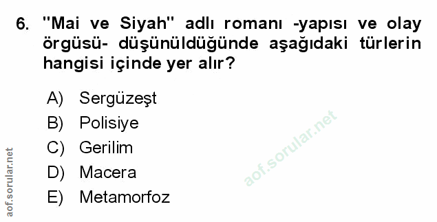 Soru 6