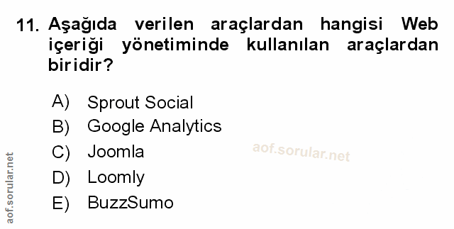 Soru 11