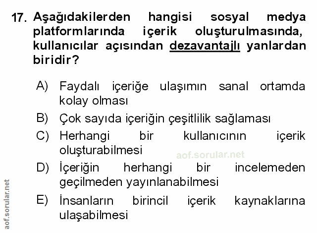 Soru 17