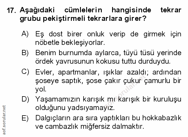 Soru 17