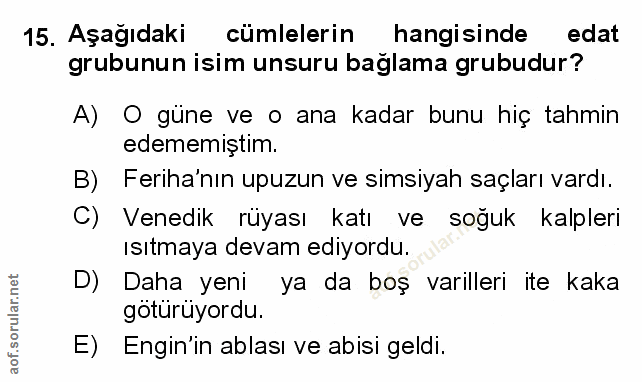Soru 15