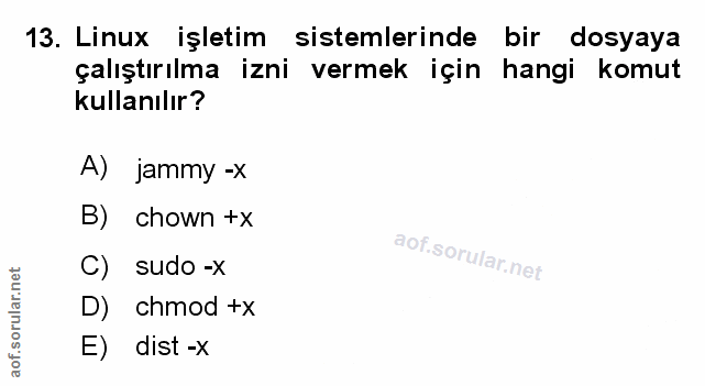 Soru 13