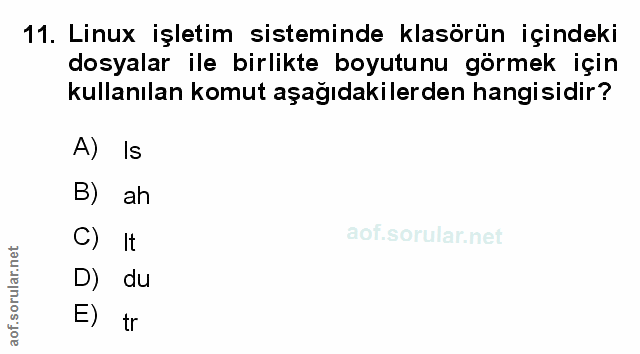 Soru 11