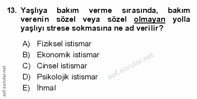 Soru 13