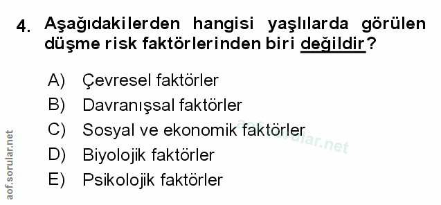 Soru 4