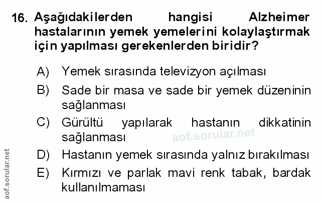 Soru 16