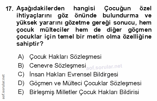 Soru 17