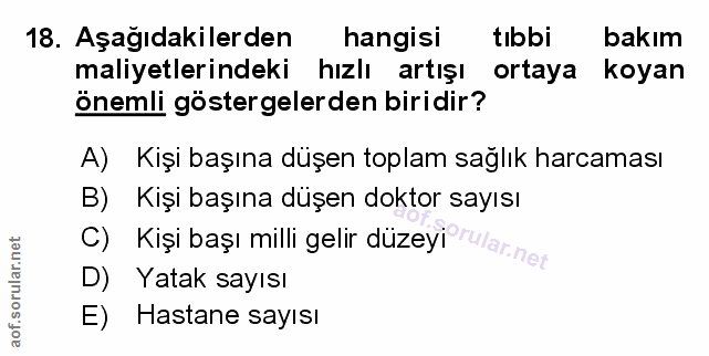 Soru 18