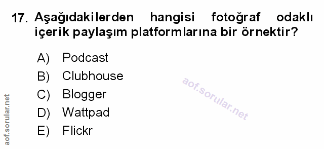 Soru 17