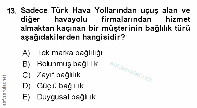 Soru 13