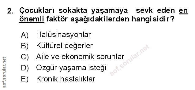 Soru 2