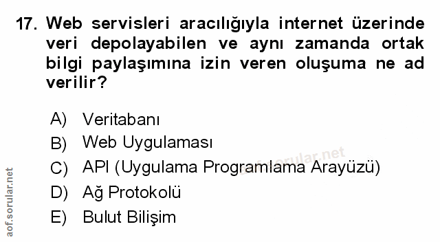 Soru 17