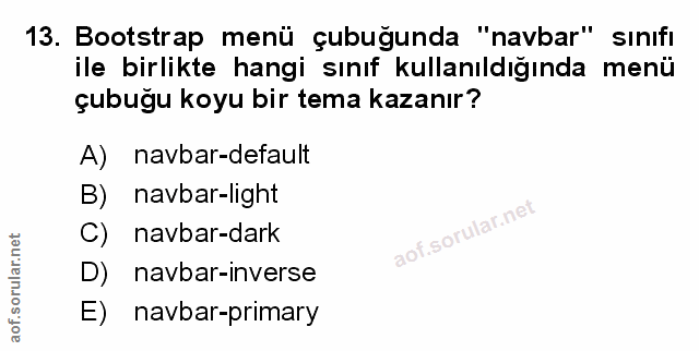 Soru 13