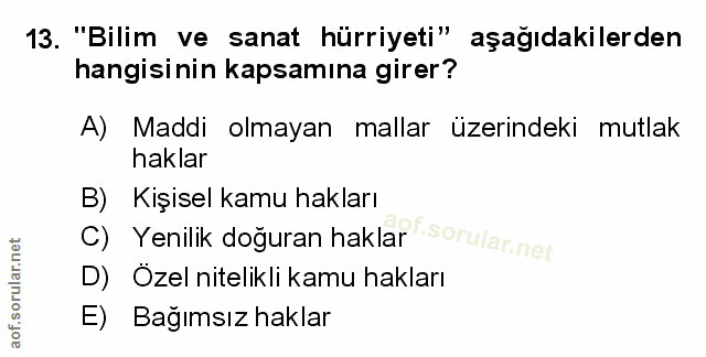 Soru 13