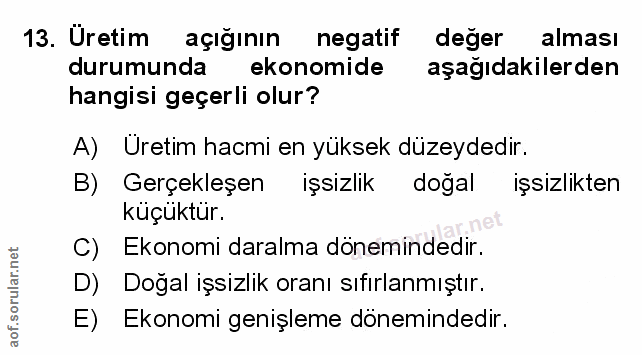 Soru 13