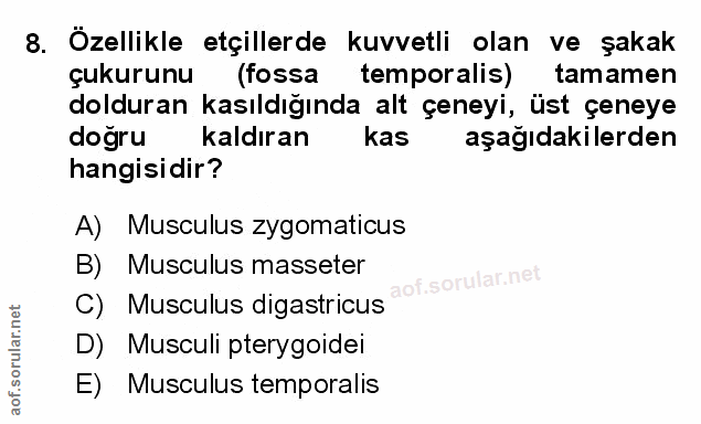 Soru 8