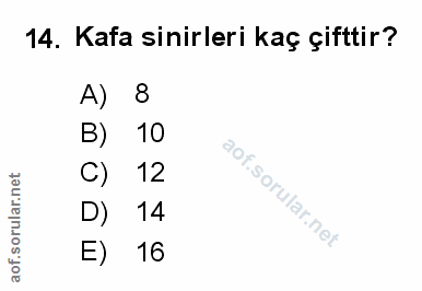 Soru 14