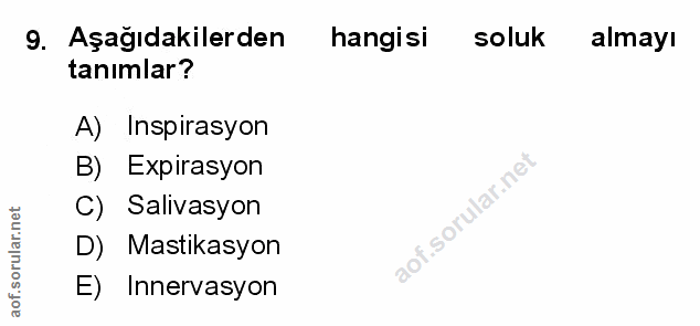 Soru 9