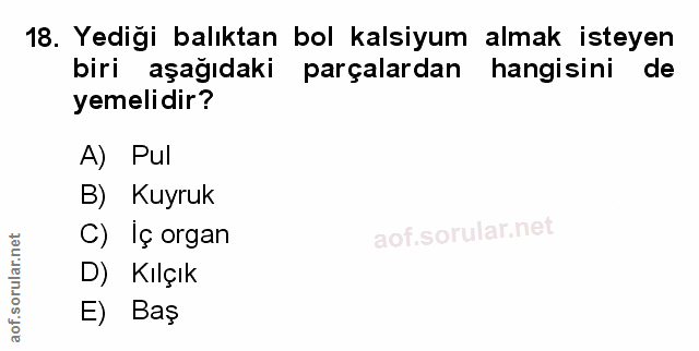 Soru 18