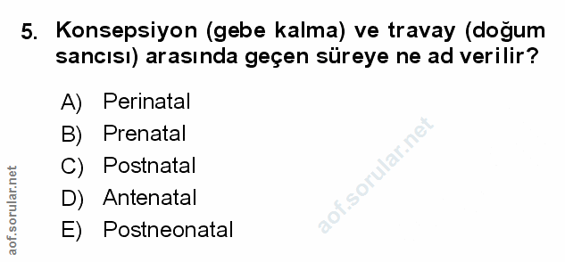 Soru 5
