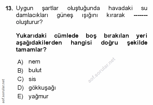 Soru 13